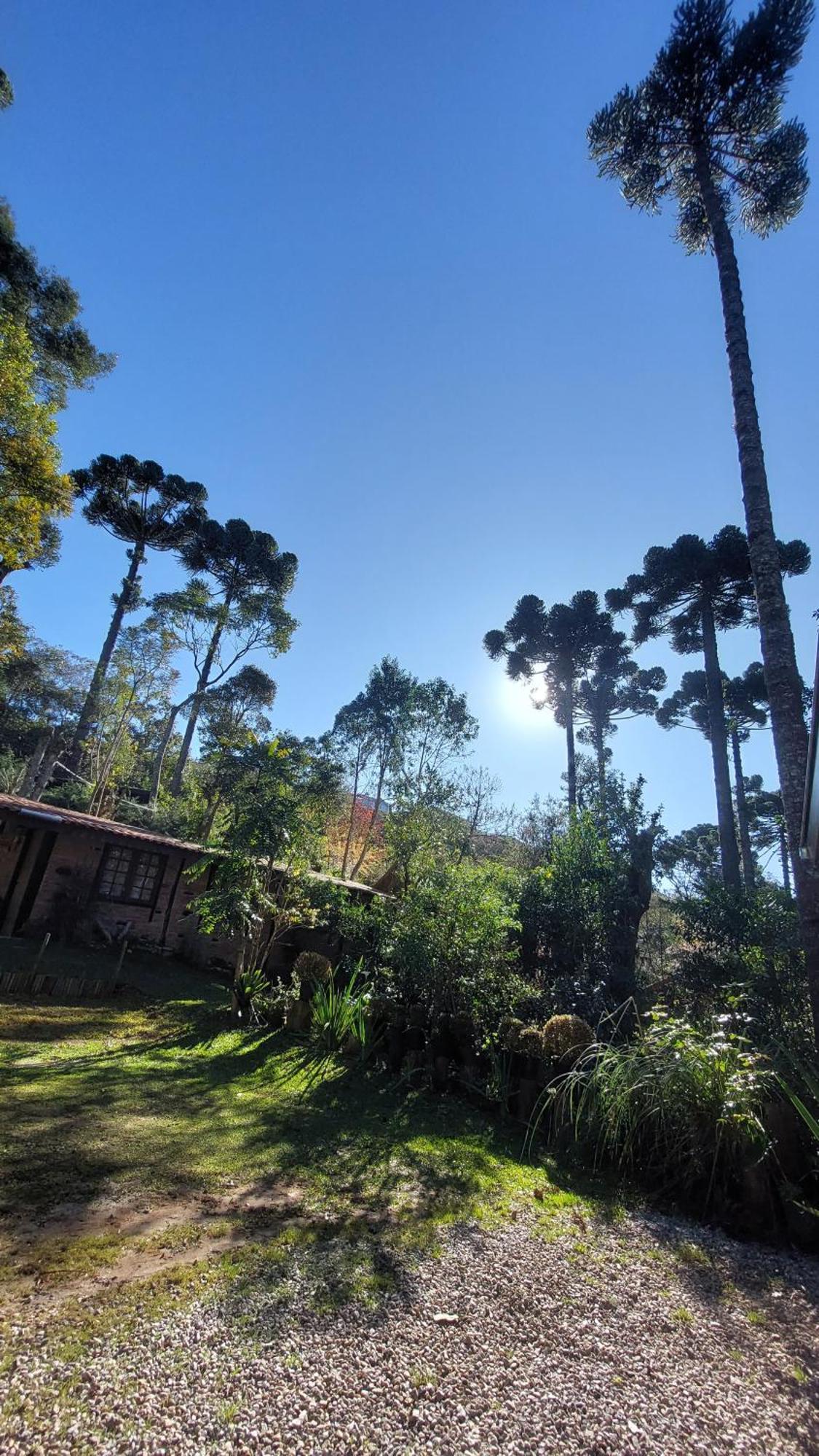 Chales Fora De Estrada Campos do Jordão Exterior foto