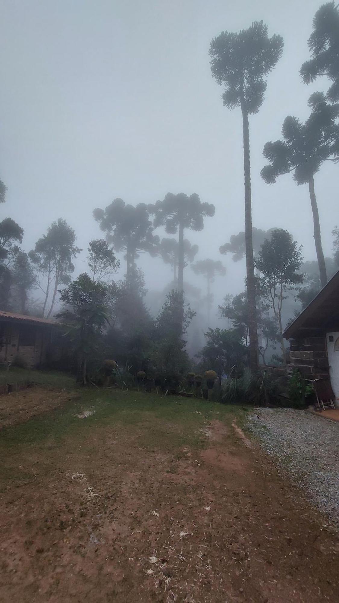 Chales Fora De Estrada Campos do Jordão Exterior foto